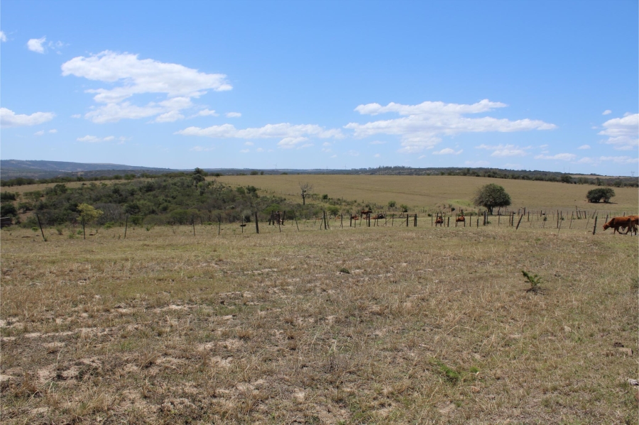 5 Bedroom Property for Sale in Mooiplaas Eastern Cape